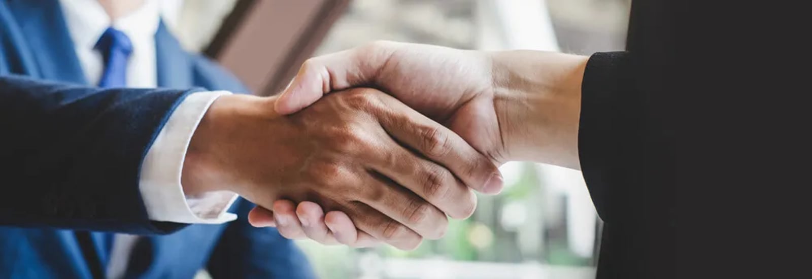 compressed 2 Partner Kami