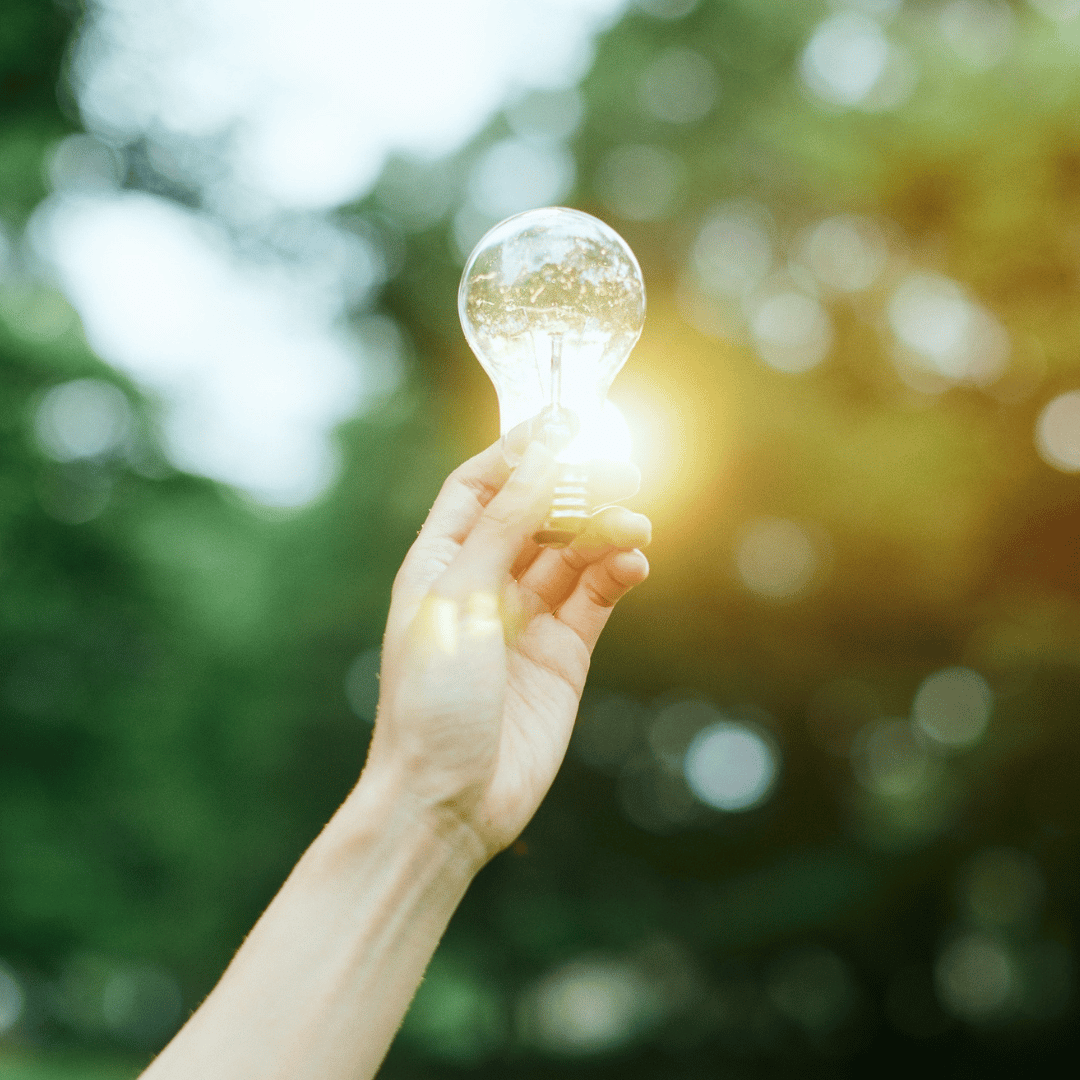 Social Media - 11 post